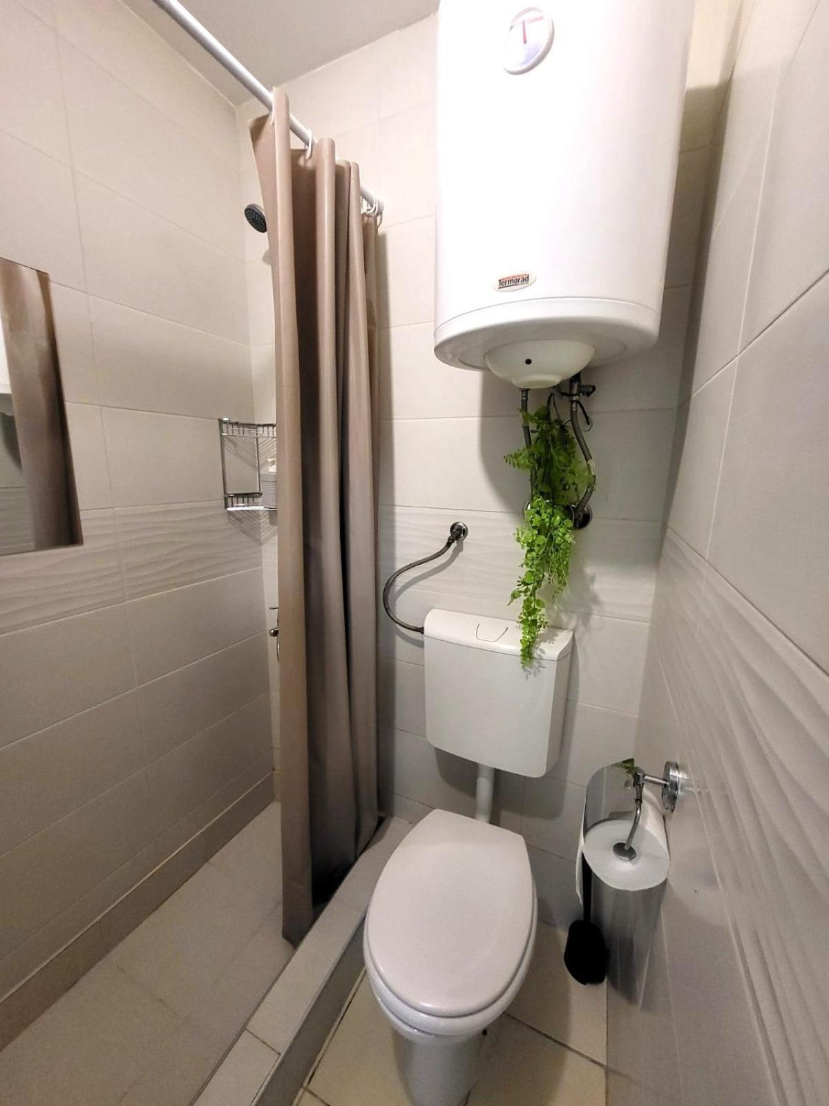 Guesthouse Ozegovic Belgrad Dış mekan fotoğraf